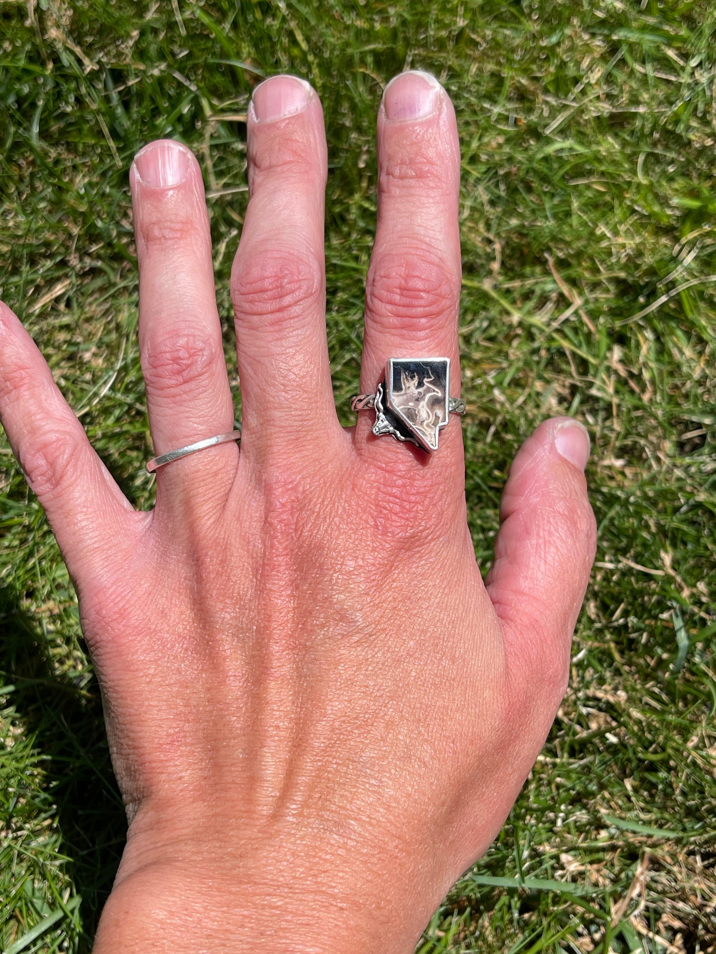 Nevada Longhorn Ring (Lg)