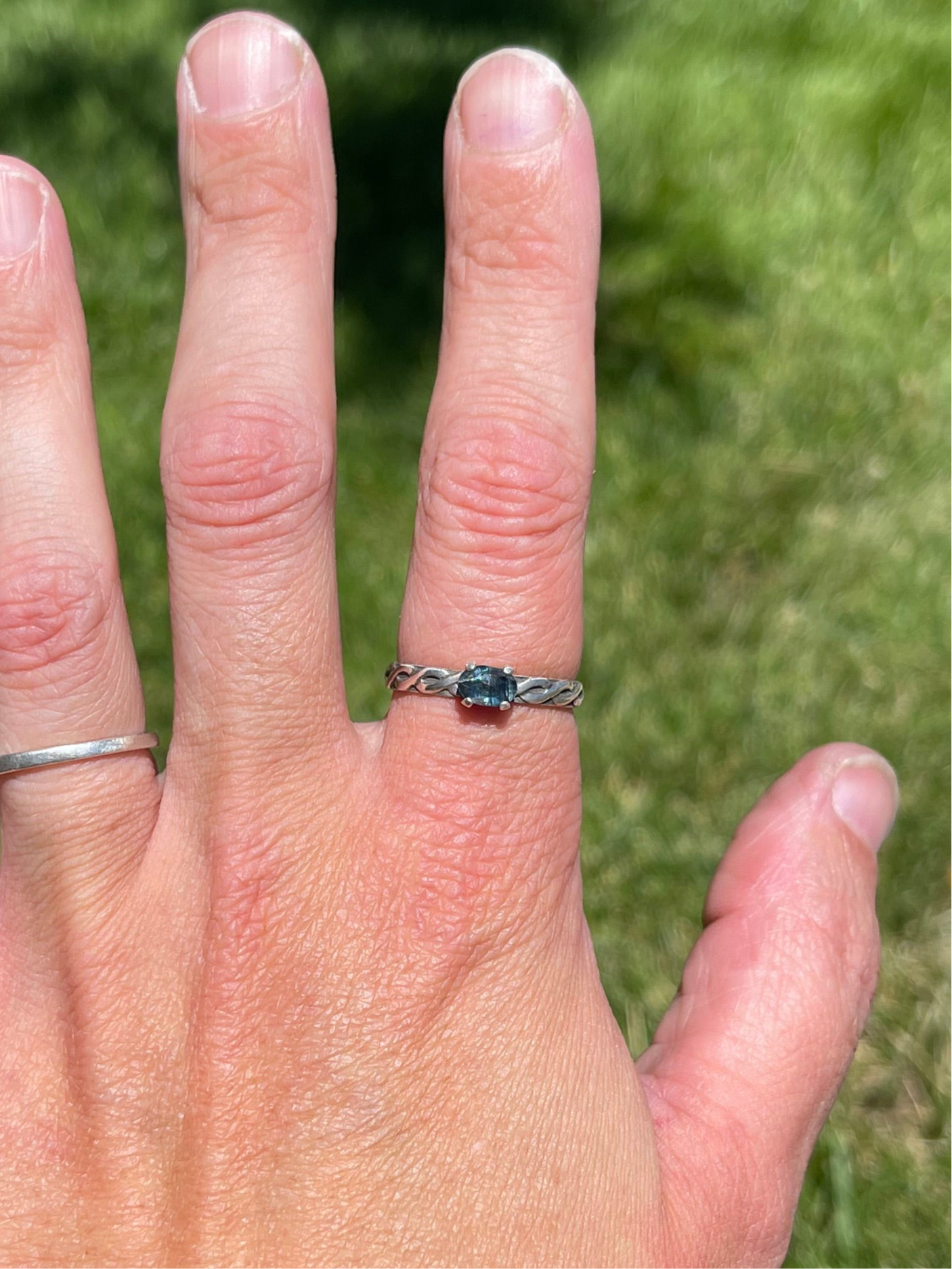 Fairy Ring #1